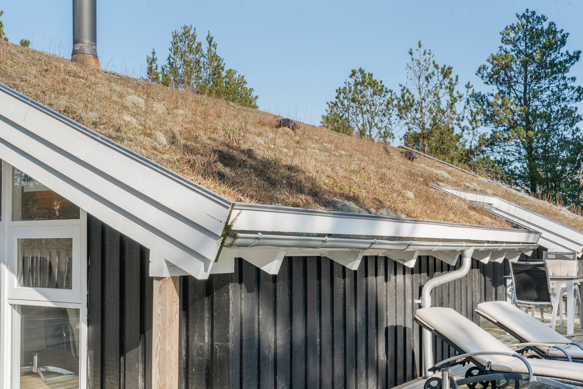 Oksevej 61, 9982 Ålbæk