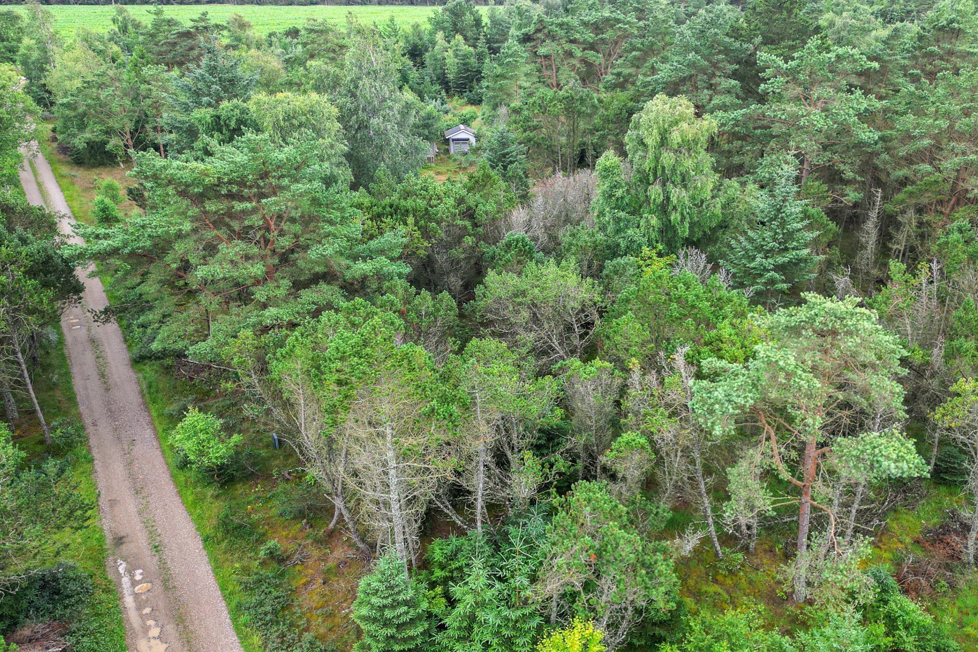 Arielvej 5, 9982 Ålbæk