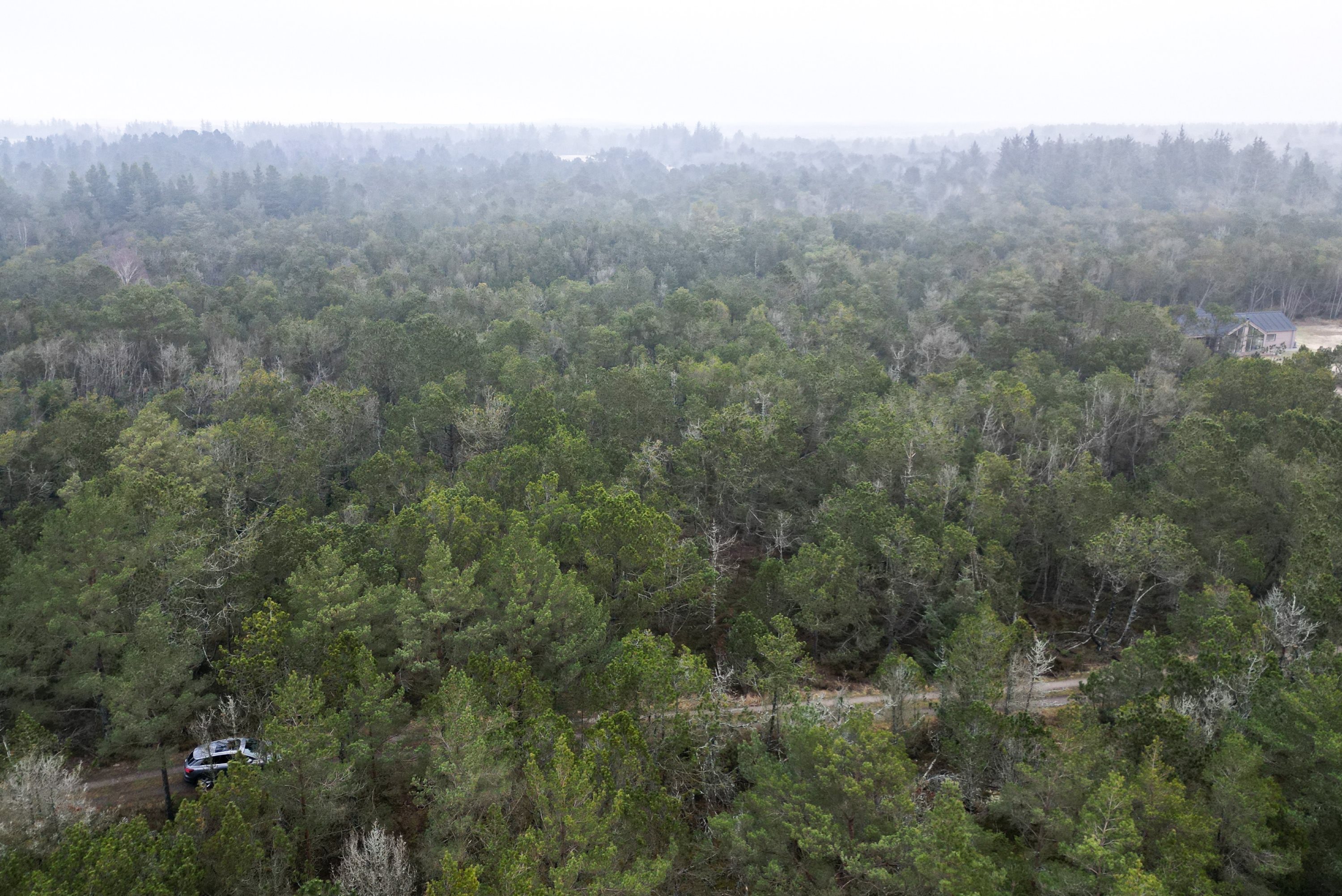 Sneppevej 5, Lodskovvad, 9982 Ålbæk