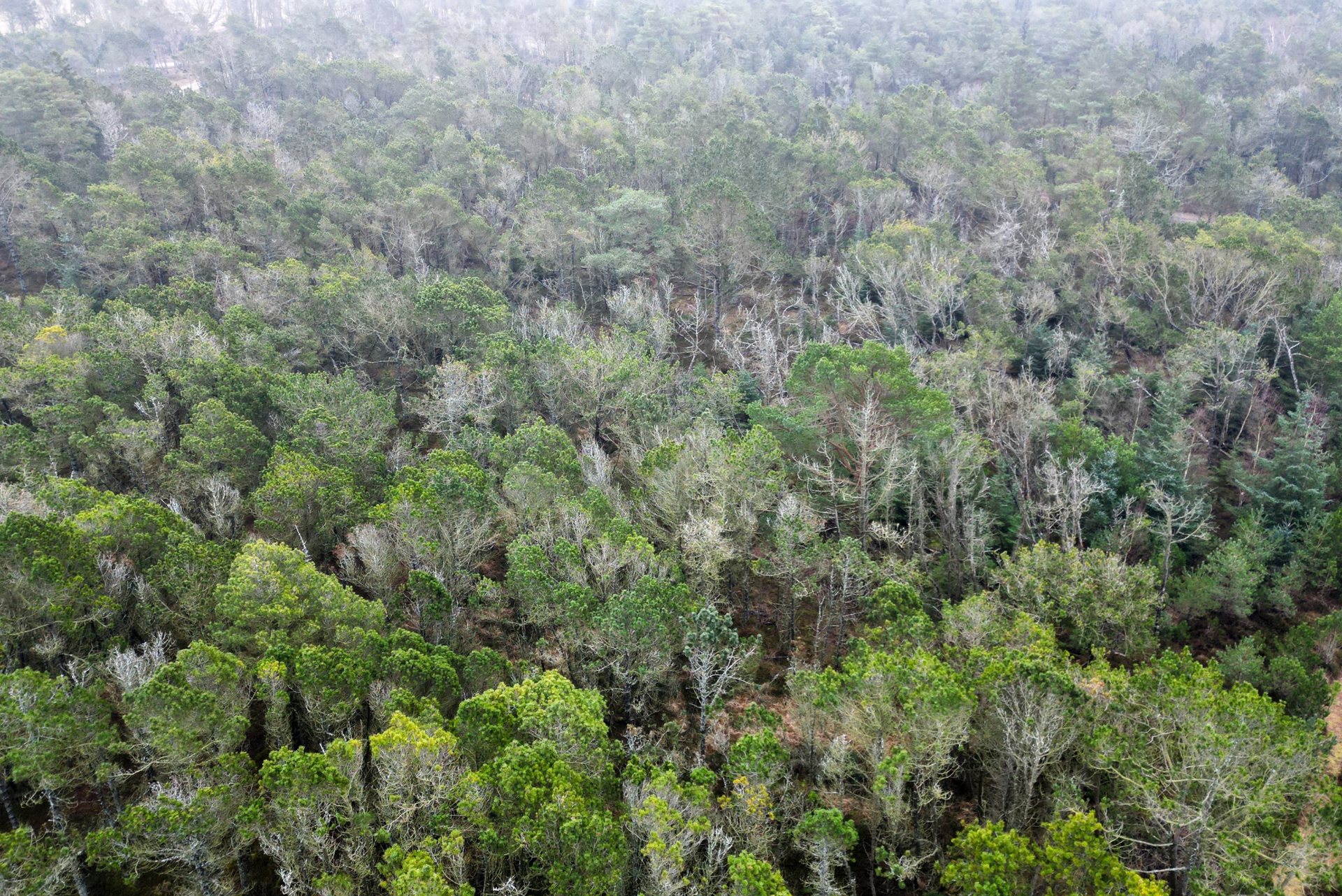 NATURSKØN SOMMERHUSGRUND PÅ 8.000 M²