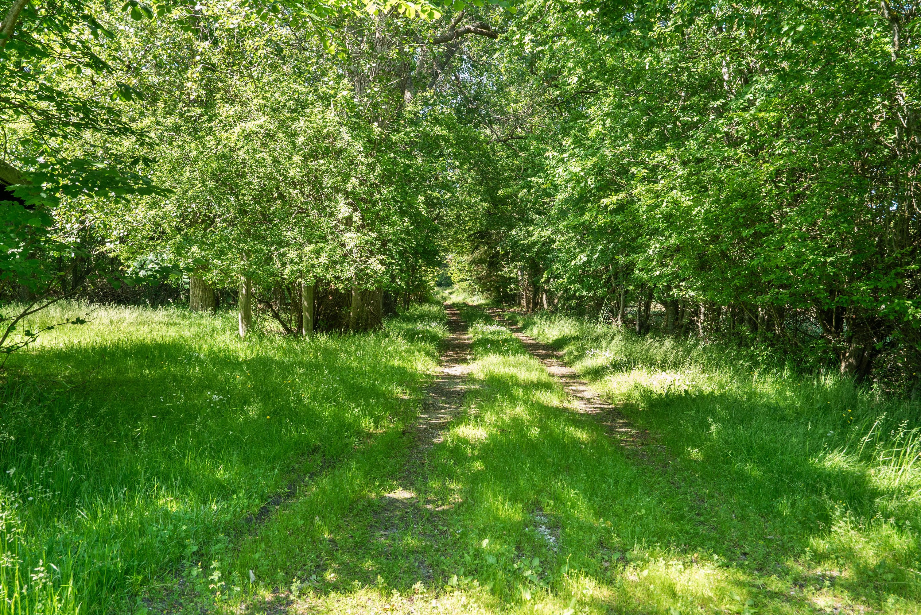 Tranevej 190, Hulsig, 9990 Skagen