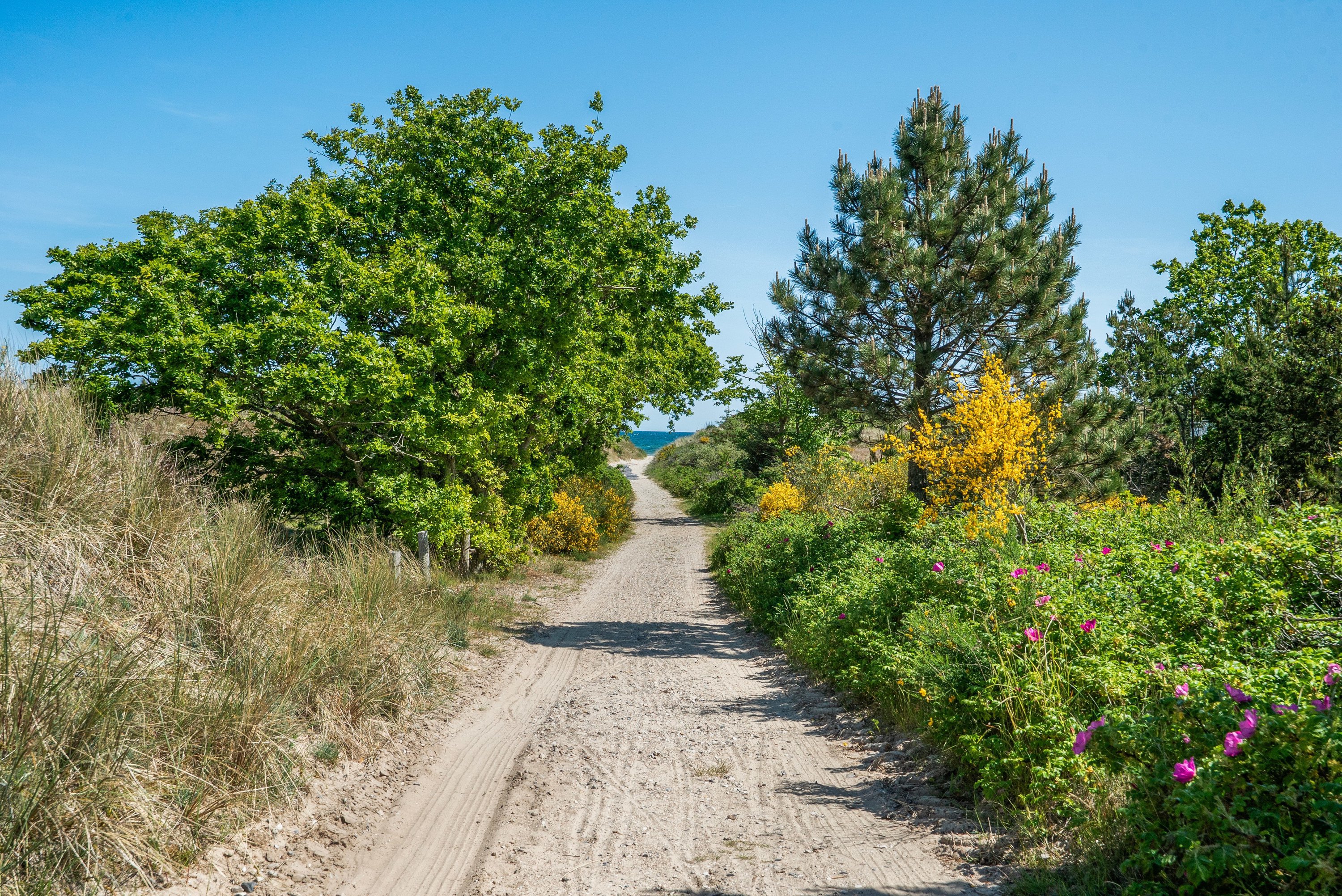 Karredvej 29, Hulsig, 9990 Skagen