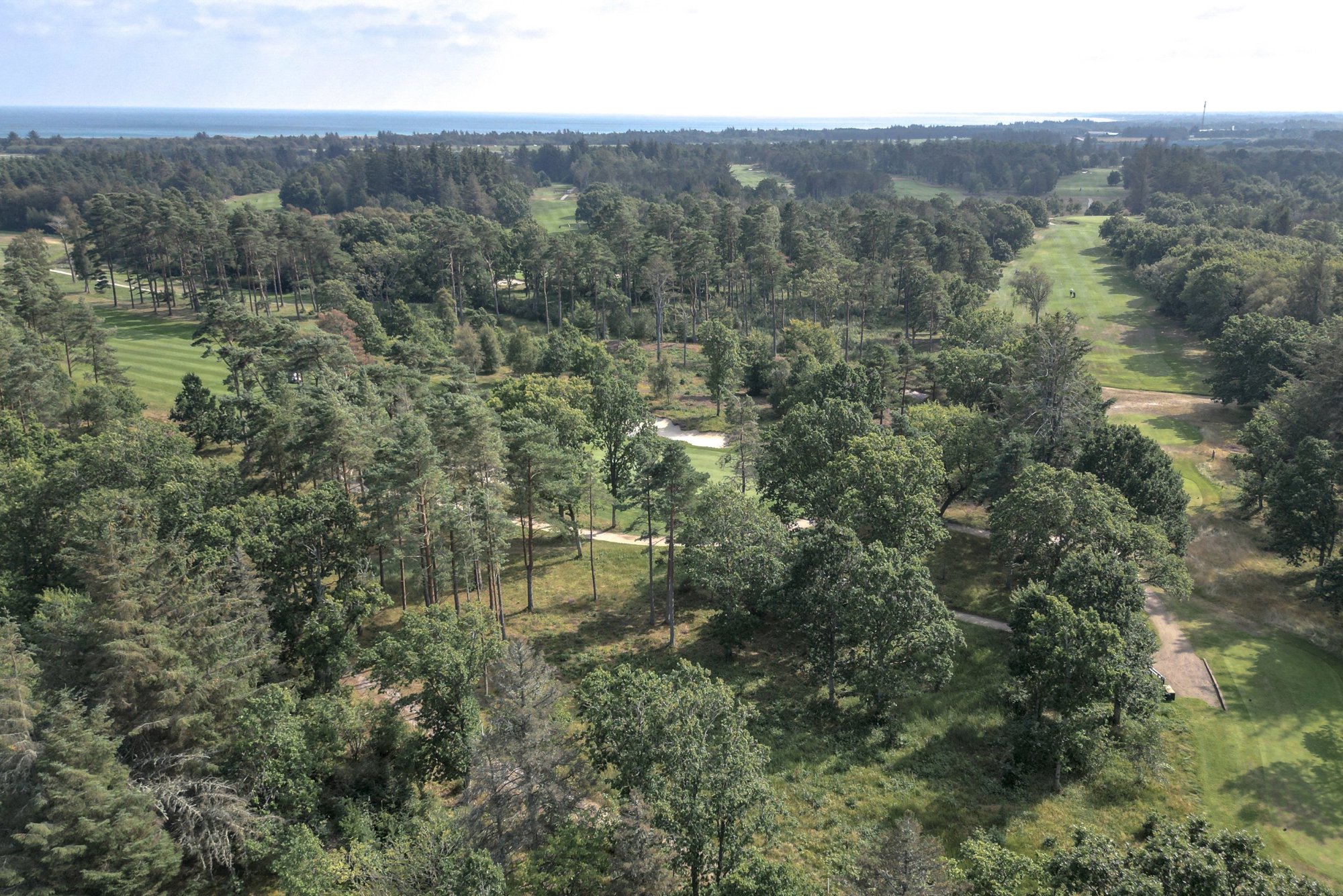 Antilopevej 1, 9982 Ålbæk