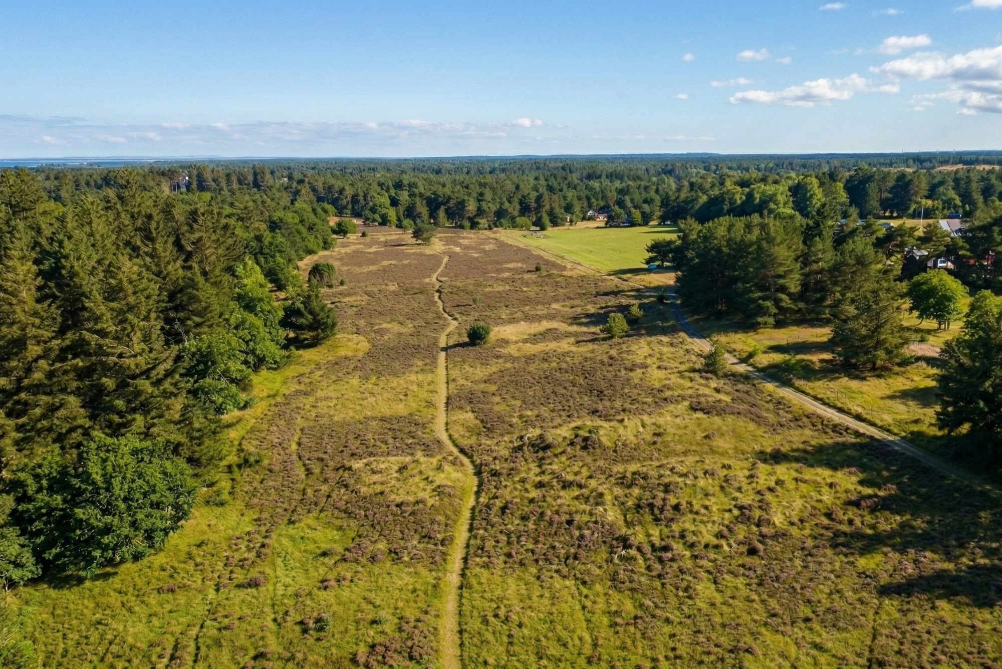 Råbjergvej 219, 9982 Ålbæk