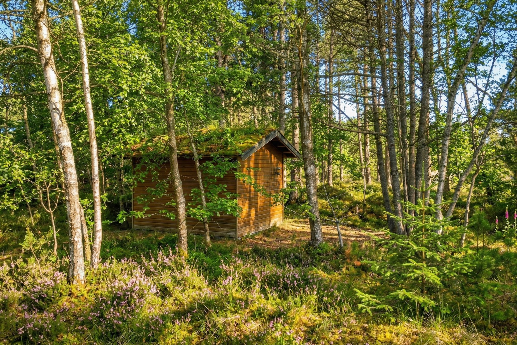 Tyttebærvej 6, 9981 Jerup