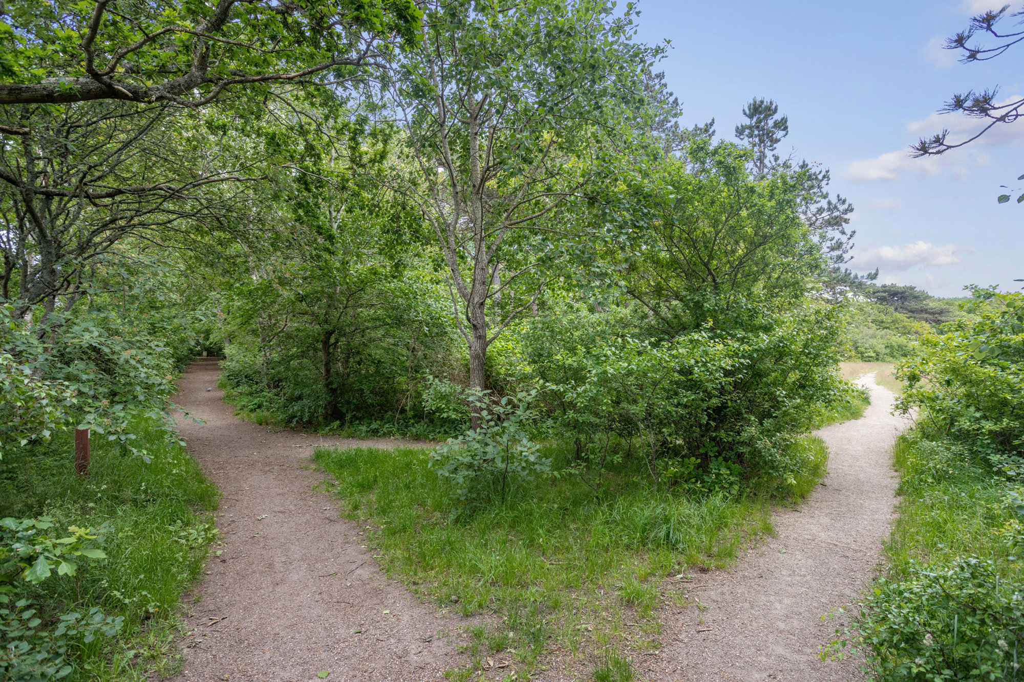 Skovbrynet 12, st., 9990 Skagen