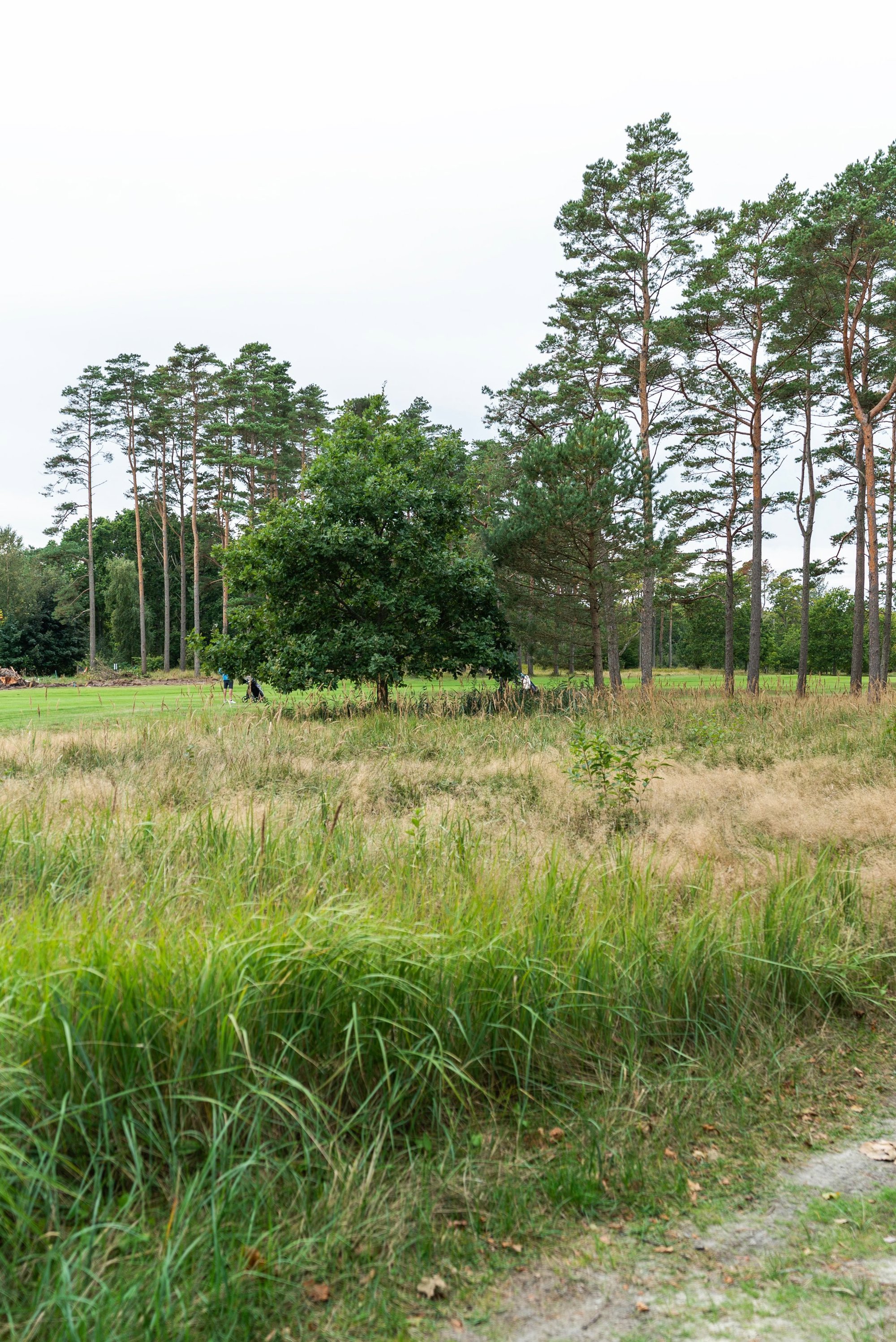 Bjørnevej 3, 9982 Ålbæk