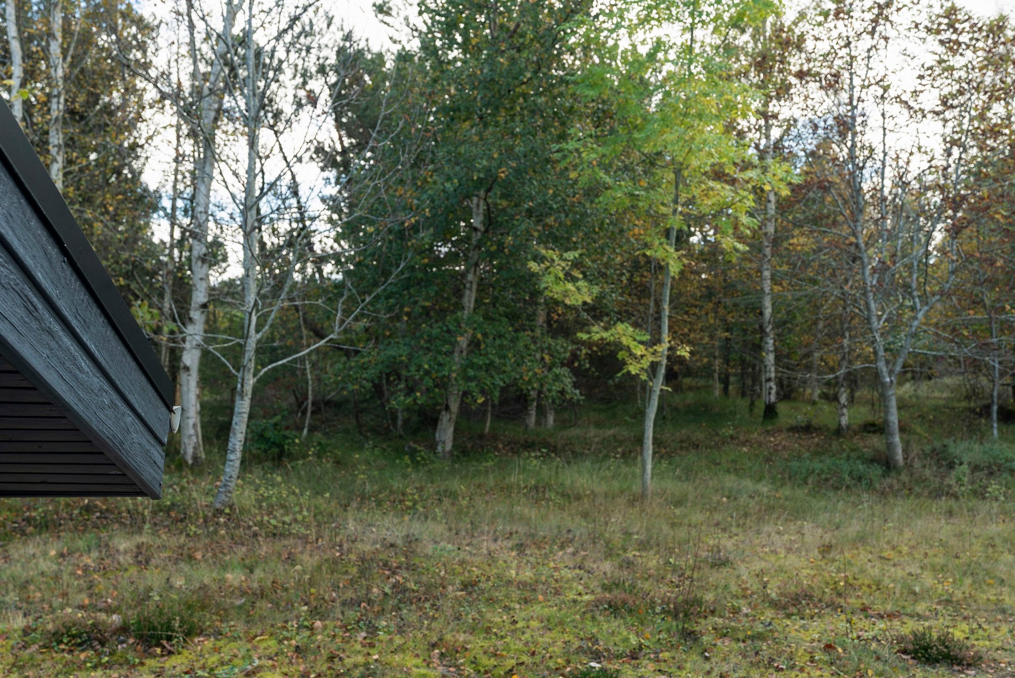 Musvågevej 9, 9982 Ålbæk