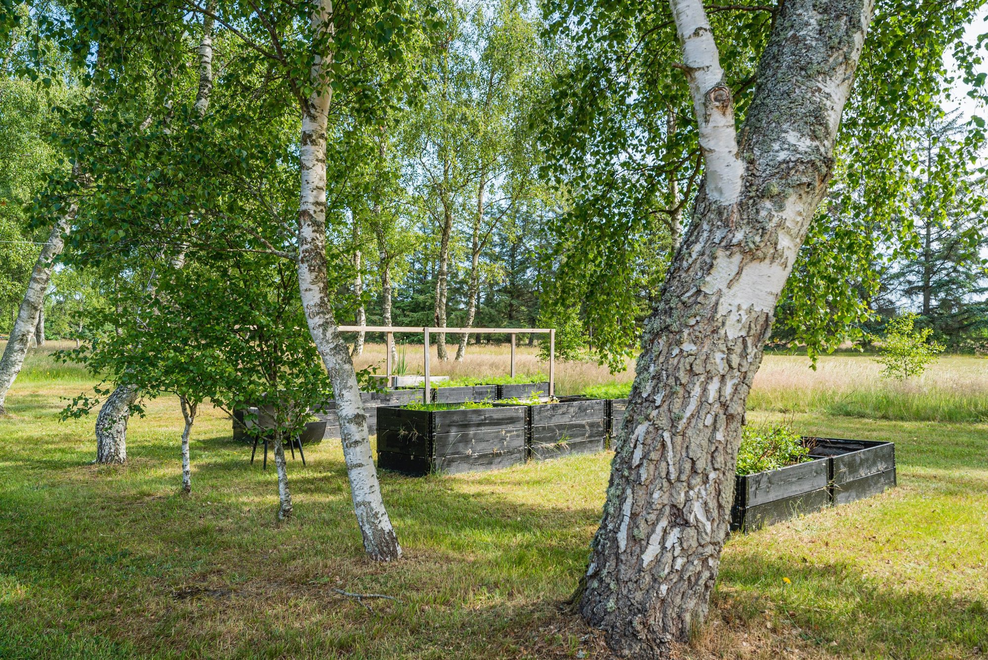 Jerupvej 251, 9982 Ålbæk